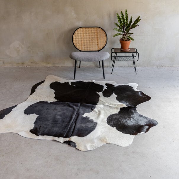 Van Buren sinds 1861 Uniek gefotografeerd zwartbonte koeienhuid KH-052 met een afmeting van ca. 205x173cm (3-4m²)