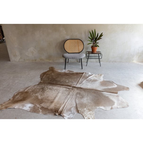 Van Buren sinds 1861 Uniek gefotografeerd champagne koeienhuid KH-062 met een afmeting van ca. 230x188cm (3-4m²)