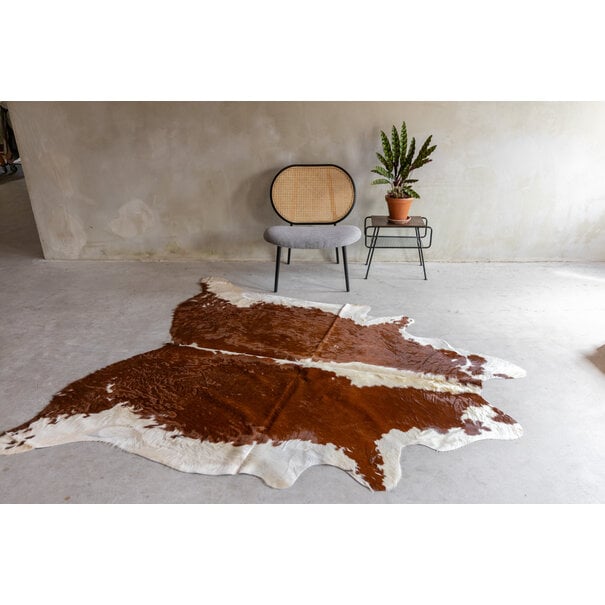 Van Buren sinds 1861 Uniek gefotografeerd roodbonte koeienhuid KH-074 met een afmeting van ca. 230x183cm (3-4m²)