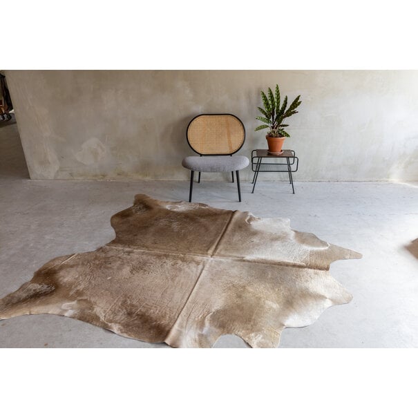 Van Buren sinds 1861 Uniek gefotografeerd champagne koeienhuid KH-060 met een afmeting van ca. 222x195cm (3-4m²)