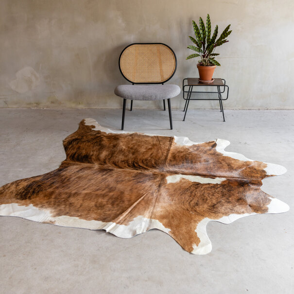 Van Buren sinds 1861 Uniek gefotografeerd excotische koeienhuid KH-066 met een afmeting van ca. 240x174cm (3-4m²)
