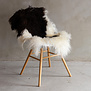 Tibetaans Lamsvacht Bont - SVV-948 - 113x62cm