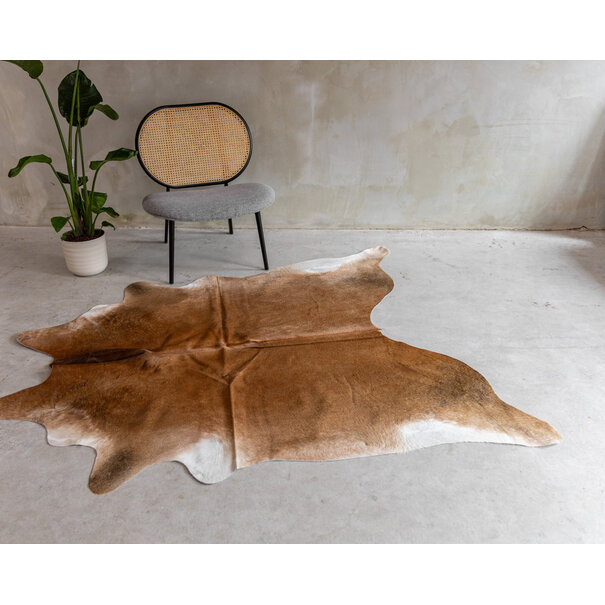 Van Buren sinds 1861 Koeienhuid Assorted - GR2 (2-3m²) - 170x165 cm - KH-109