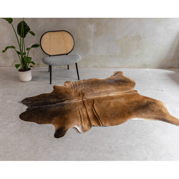 Van Buren sinds 1861 Koeienhuid Assorted - GR2 - 190x153 cm - KH-112