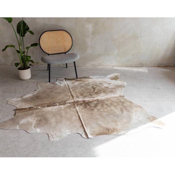 Van Buren sinds 1861 Koeienhuid Champagne - GR1 (3-4m²) - 180x158 cm - KH-100