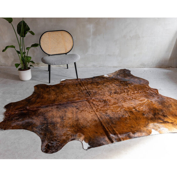 Van Buren sinds 1861 Koeienhuid Driekleur - GR1 (3-4m²) - 245x185 cm - KH-086