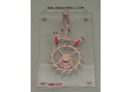 Verkauft: Wostep Model Escapement / Echappement