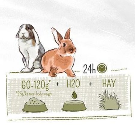 Witte Molen Aliment pour lapins PURE Rabbit