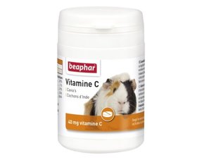 Meerschweinchengesundheit