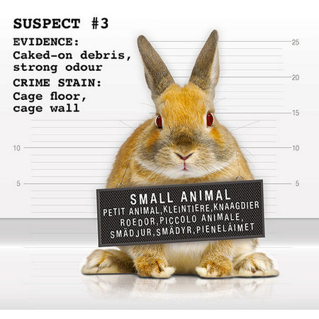 CSI Spray Urine Remover for Rodents & Rabbits!