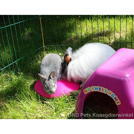 Scratch and Newton Icepod Cooling Disc for Rabbits and Rodents 21 cm