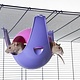 Savic Sputnik XL Purple/Pink for Rodents!