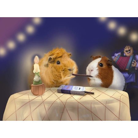 Supreme Selective Naturals Forest Sticks Guinea Pig 60 grams