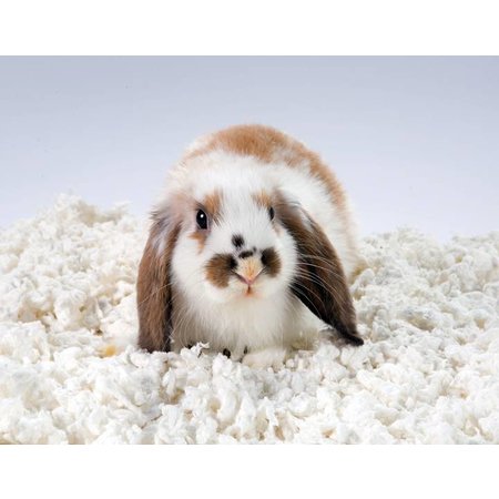 Chipsi Cobertor de suelo Carefresh blanco puro