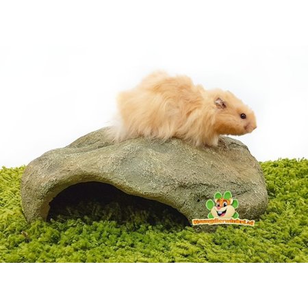 Trixie Rots Schuilplaats 30 cm voor Kleine Knaagdieren