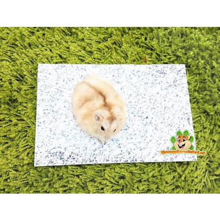 Elmato Cooling Stone Granite for Rodents & Rabbits!