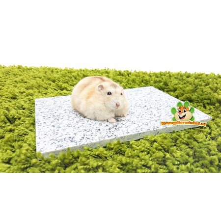 Elmato Cooling Stone Granite for Rodents & Rabbits!