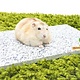 Elmato Cooling Stone Granite for Rodents & Rabbits!