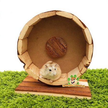 Forest Wooden Running Wheel 23 cm for mice and dwarf hamsters