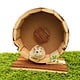 Forest Wooden Running Wheel 23 cm for mice and dwarf hamsters