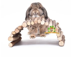 Kaninchen-Plattformen und Leitern