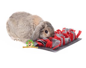 Zabawki do tresury i żerowania królików