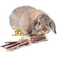 Elmato ¡Ramitas de avellana para roedores y conejos!