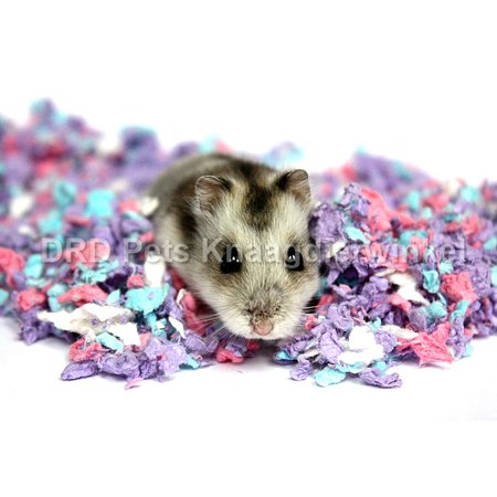 Chipsi Carefresh Confetti Papierbodembedekking voor Knaagdieren en Konijnen