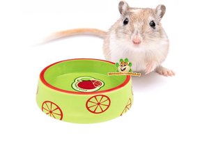 Miski na karmę dla myszoskoczków