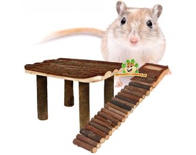 Rennmaus-Plattformen und Leitern