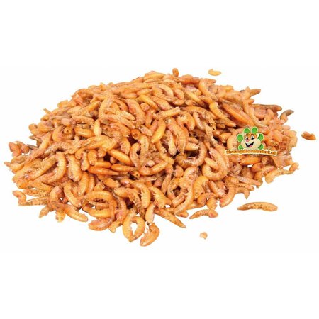 Knaagdierwinkel® Gammarus Waterkreeftjes voor kleine knaagdieren