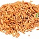 Knaagdierwinkel® Gammarus-Wasserkrebse für kleine Nagetiere