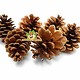 Elmato Pinecone 6 pieces for Rodents & Rabbits