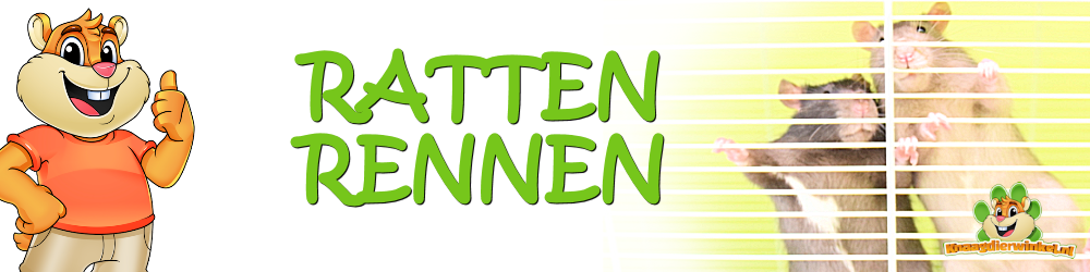 Ratten rennen für deine Ratte