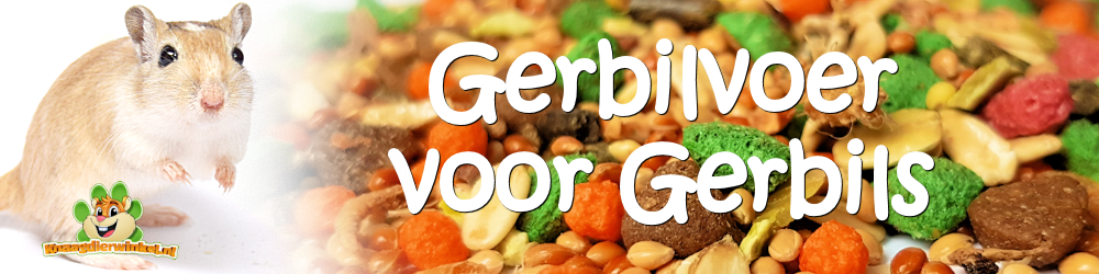 Gerbilvoer en natuurlijke gerbilvoeding voor uw gerbil en gerbils