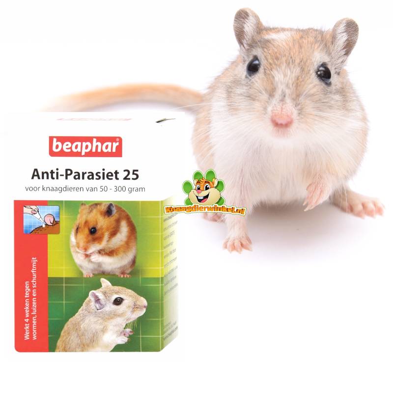 gerbil gezondheid