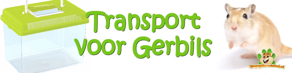 Gerbil transport box and transport box for safe gerbil transportation and transport