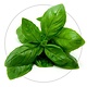 ¡Spray Calmante 15 ml para Roedores y Conejos!
