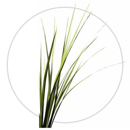 Pet Remedy Beruhigungsspray 15 ml für Nagetiere und Kaninchen!