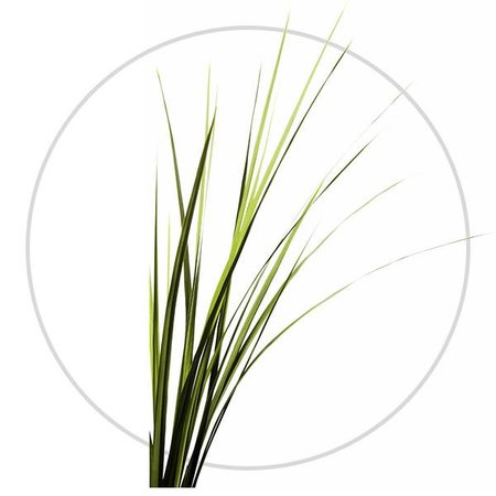 Pet Remedy Uspokajający spray 15 ml dla gryzoni i królików!