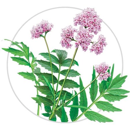 Pet Remedy Uspokajający spray 15 ml dla gryzoni i królików!