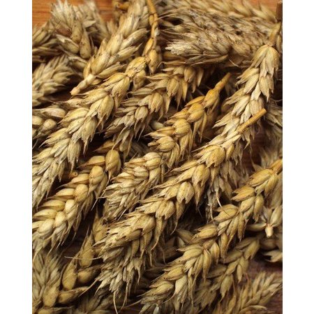 JR Farm Knabbel Aren Mix