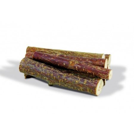 JR Farm Nibble Gnaw Wood Hazelnut