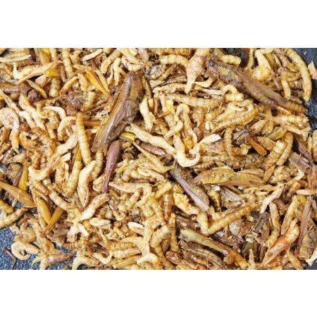 JR Farm Koktajl proteinowy 10 gramów