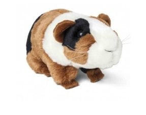 Guinea Pig Gifts