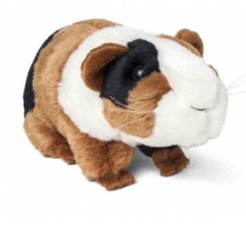 Świnka morska z prezentem, ziołami i przekąskami