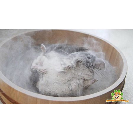 Supreme Sable de bain pour rongeurs et chinchillas