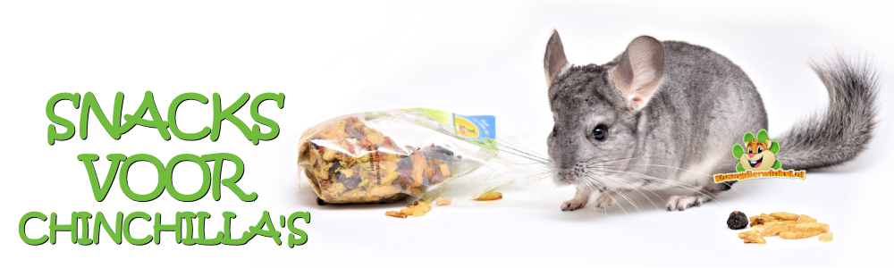 chinchilla snacks