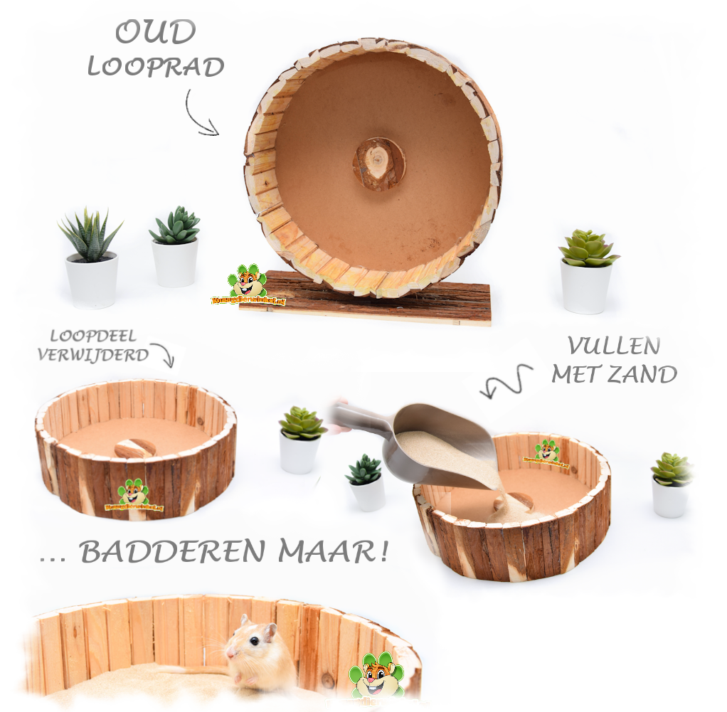 DIY houten looprad veranderen in zandbak voor knaagdieren