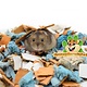 The Natural Pet Brand Bodendeckermischung „Card N Card Mix“